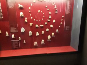 IMG_20181001_153655