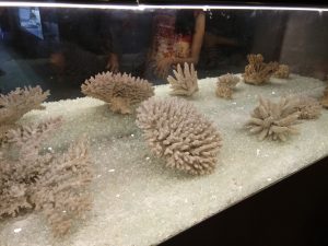 IMG_20181001_163048